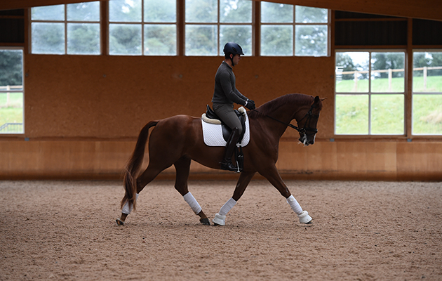 Spencer Wilton offers some simple dressage exercises to improve control of your horse