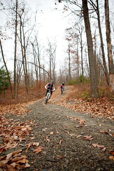 There are fast road sections in the Trans-Sylvania
