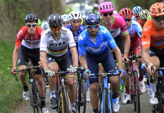 Peter Sagan and Alejandro Valverde at the head of the peloton