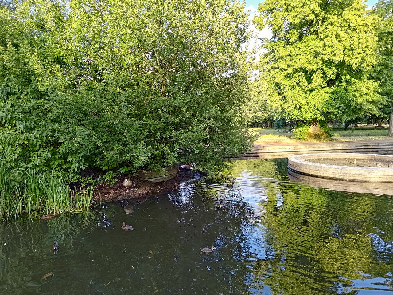 Photo taken on the Asus ROG Phone 6