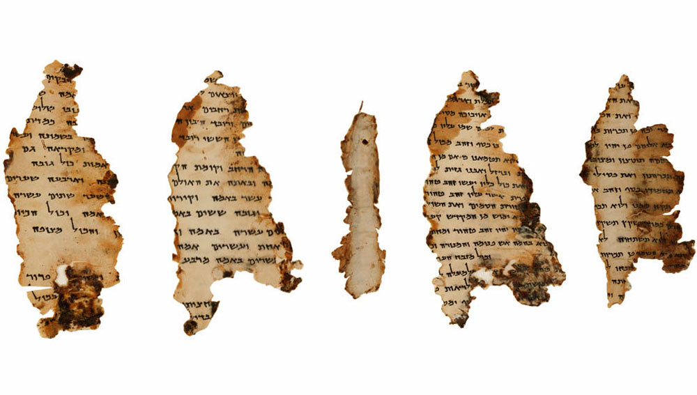 digitized image of the Dead Sea Scroll called the Temple Scroll