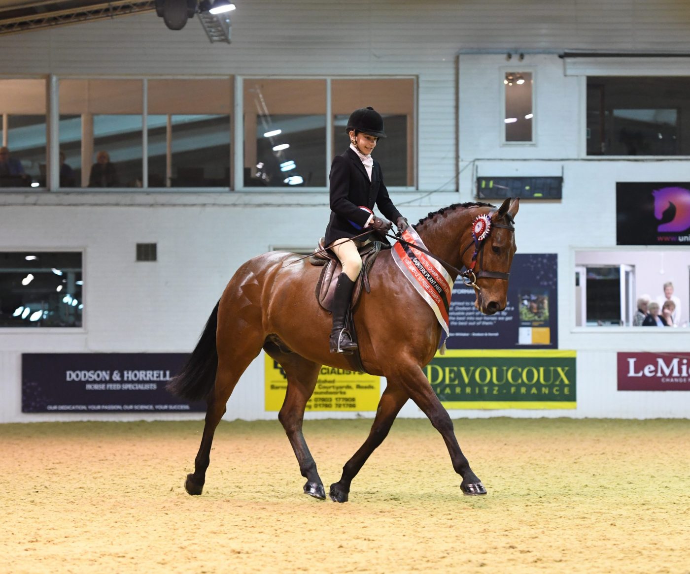 Killara-Brilliant-NOVICE-SUPREME-scaled-e1590488789559.jpg
