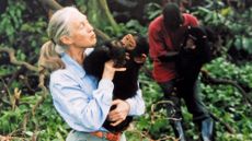 Jane Goodall with a chimpanzee