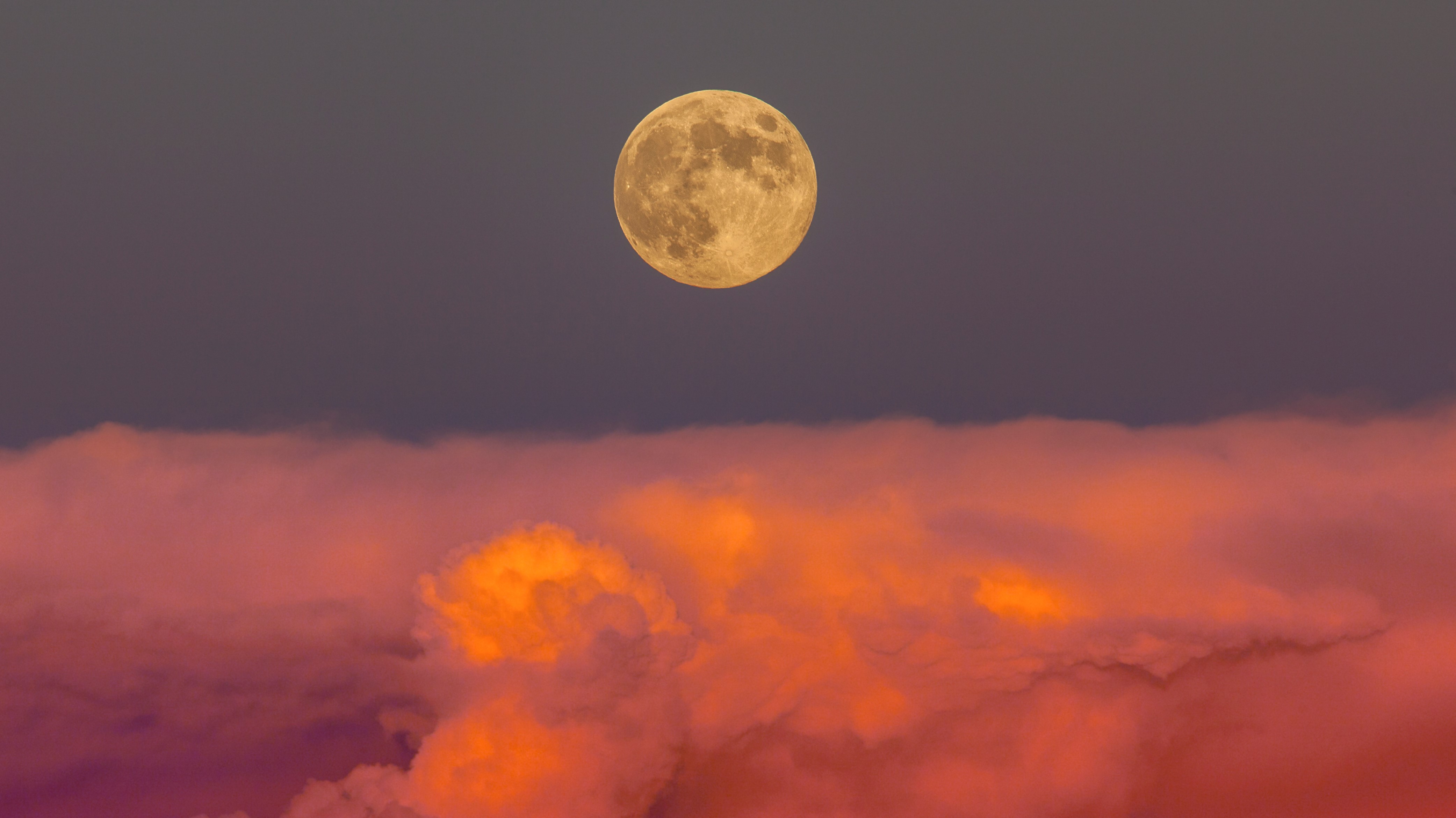 The full pink moon is coming Saturday. Here is how to watch.