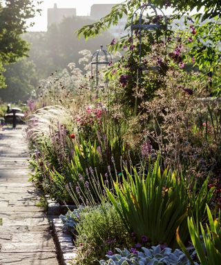 Sensory long narrow garden ideas with fragrant flowers beside a stone walkway.
