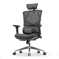 Sihoo Ergonomic Office Chair Review - Budget at What Price? - Ergonomic  Trends