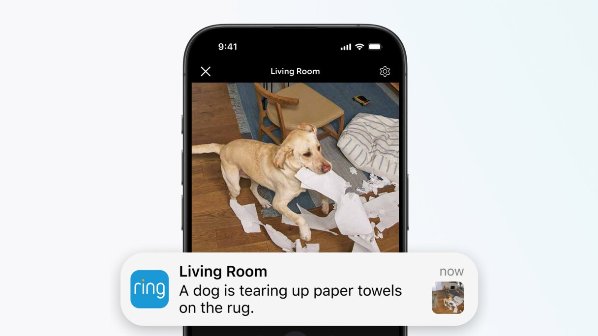 A smart phone showing a dog chewing up paper towels with a Ring Video Description notification