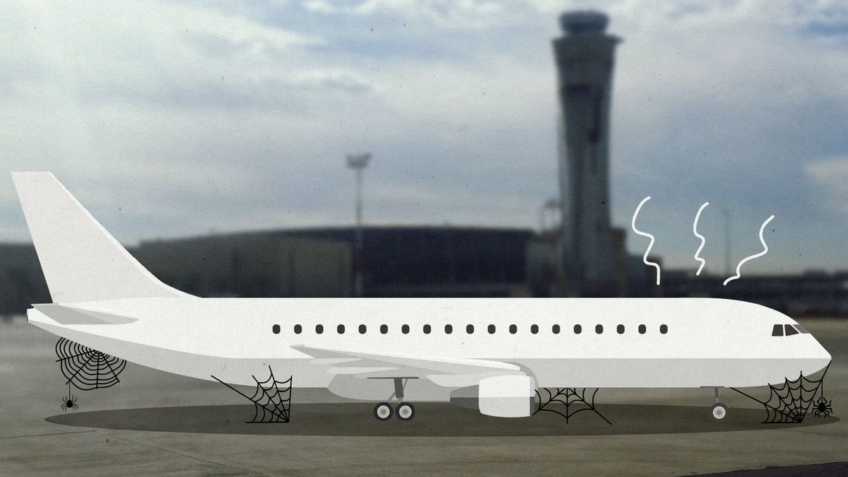 Flight cancellations Is the problem getting worse? The Week