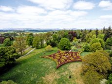 Scone Palace maze in Perthshire.