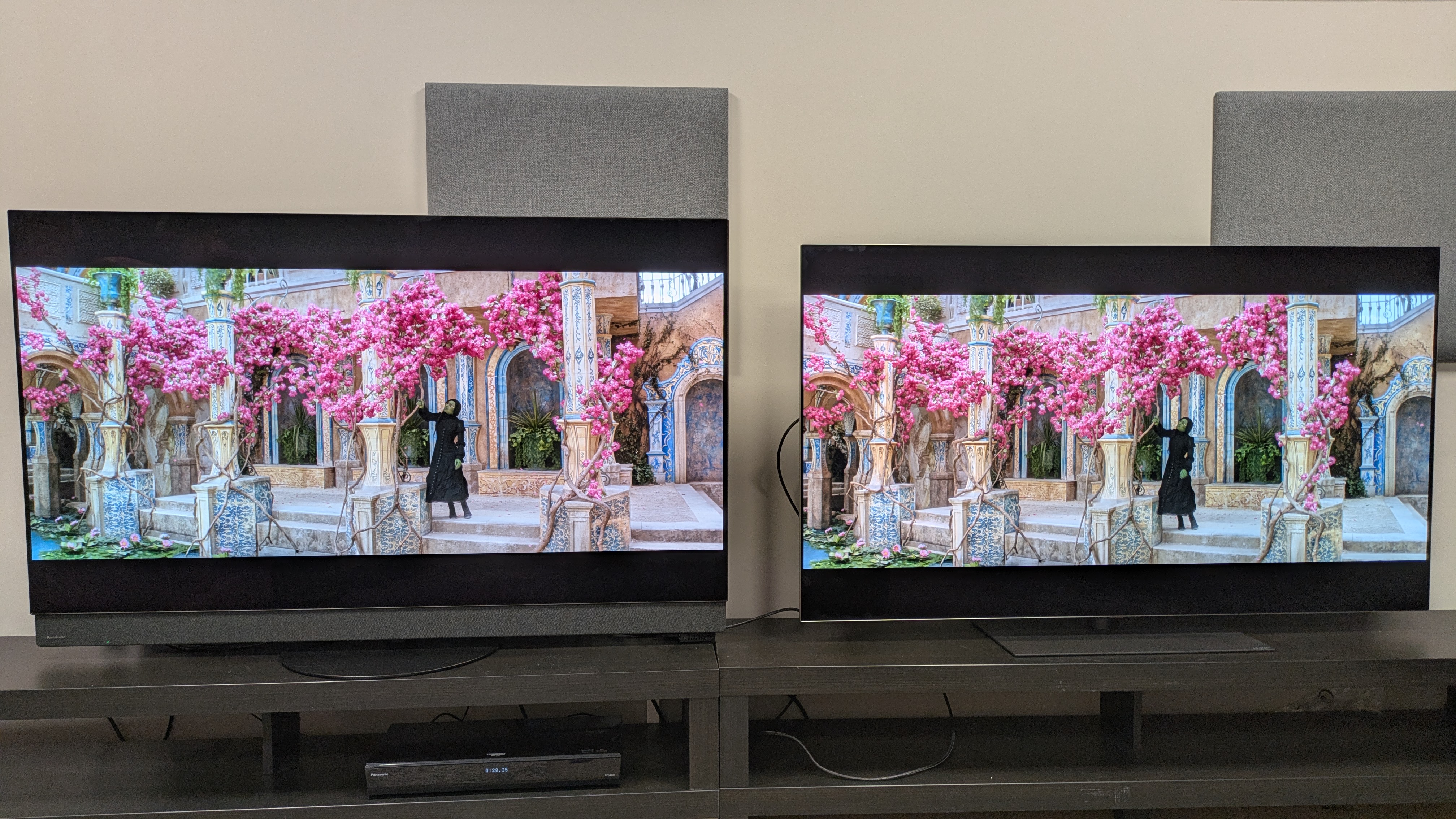 Panasonic Z95B (left) and LG G5 (right) displaying Elphaba among some pink flowers from Wicked