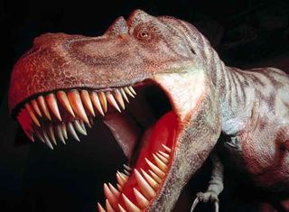 Days Out With The Kids: Dinosaurs, Southampton