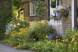cottage garden fence outside of a cottage home with lots of different flowers blooming from the bushes