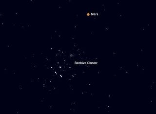 Beehive star cluster in the Cancer (Crab) constellation.