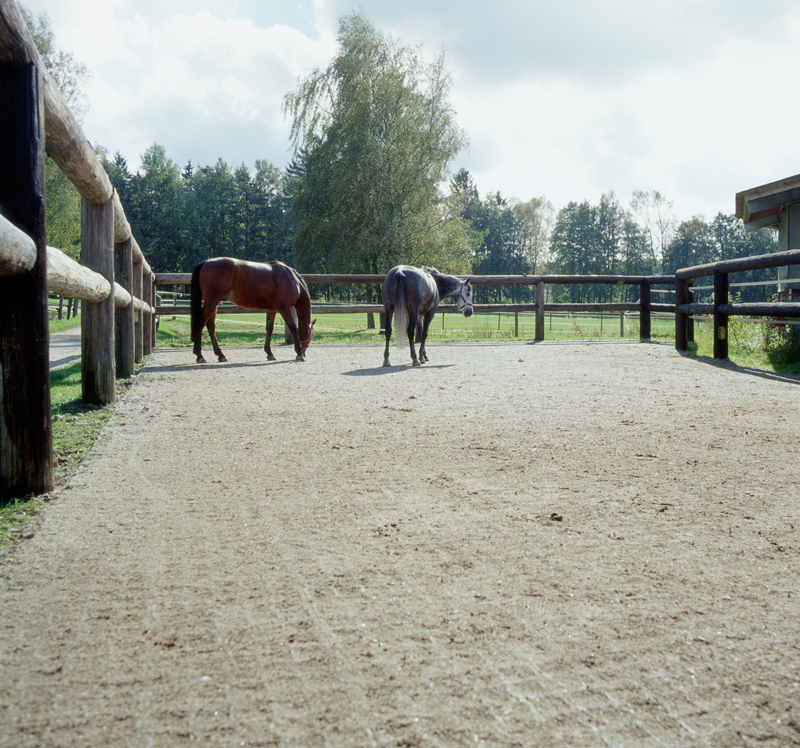 Ecogrid paddock