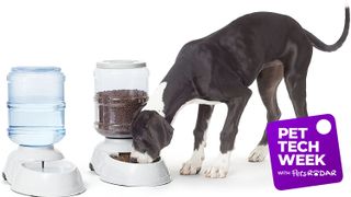 Automatic pet feeder