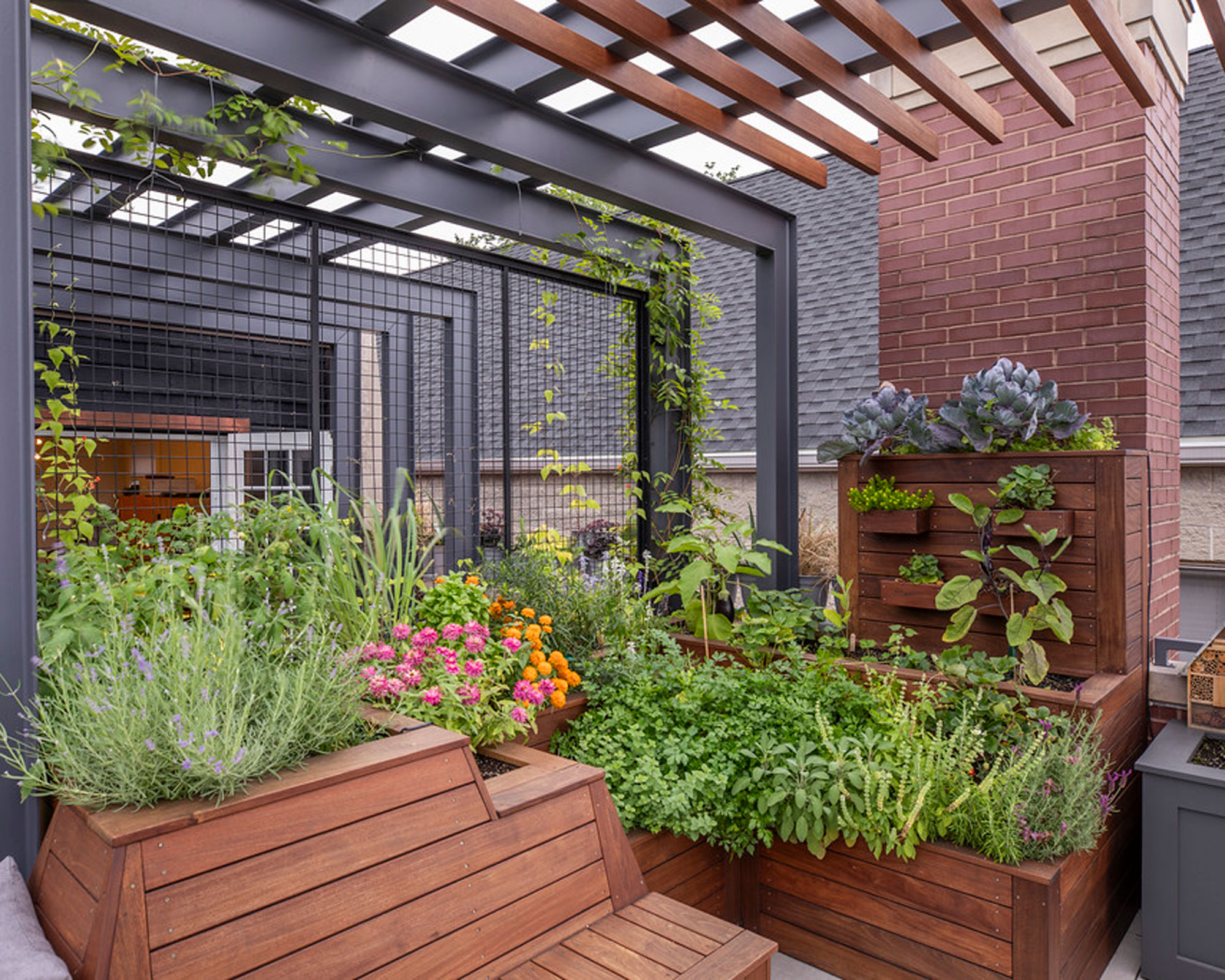 roof terrace with vegetable garden in raised beds, trellis and pergola