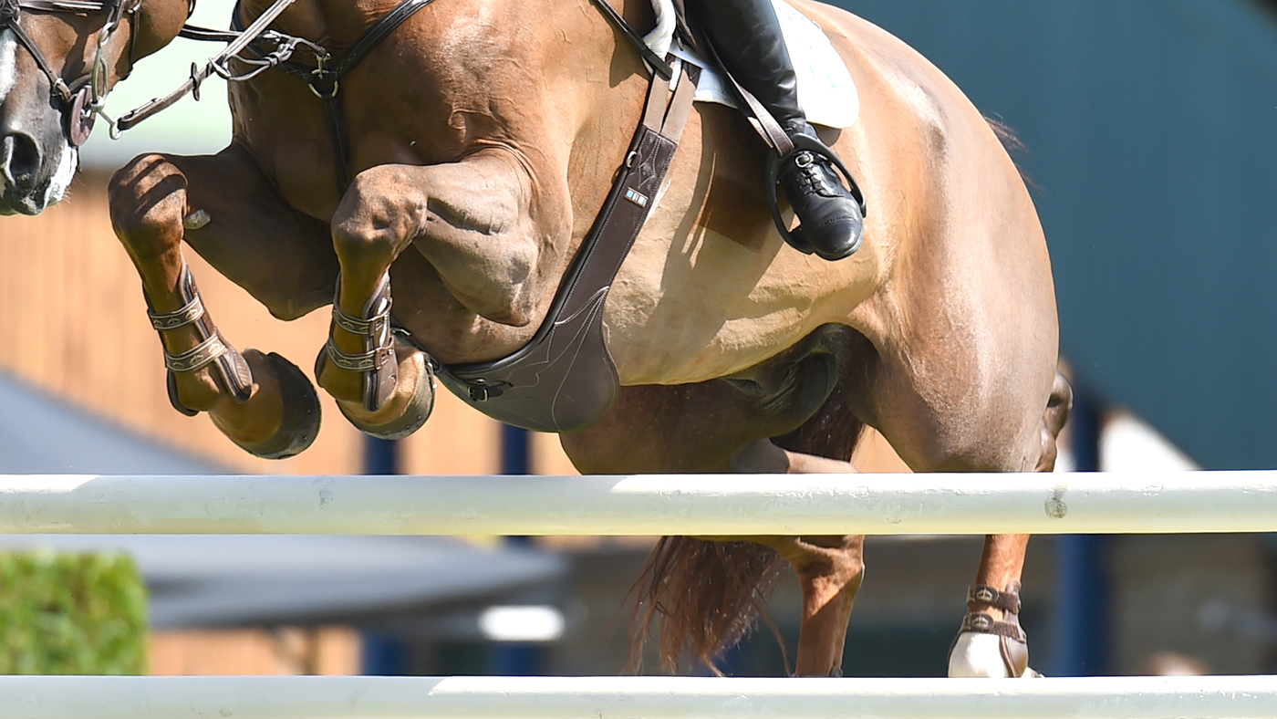 sj jump Showjumping show jumping