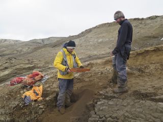 Researchers unearth the enormous plesiosaur's fossils on Seymour Island, Antarctica.