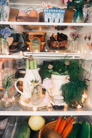 open fridge full with produce, greenery, and fairy lights