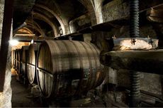 Graci Arcuria Sicilian Red