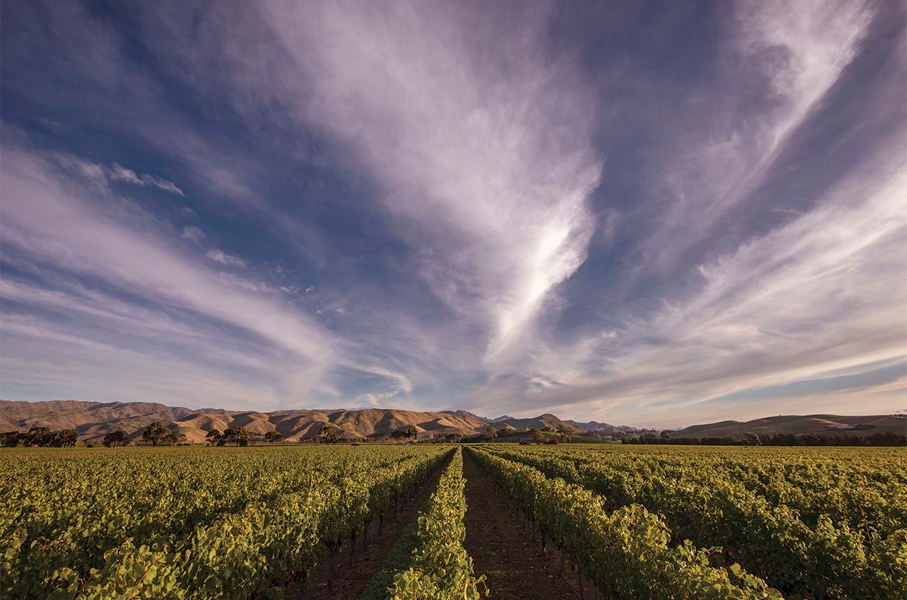 New world sweet wines