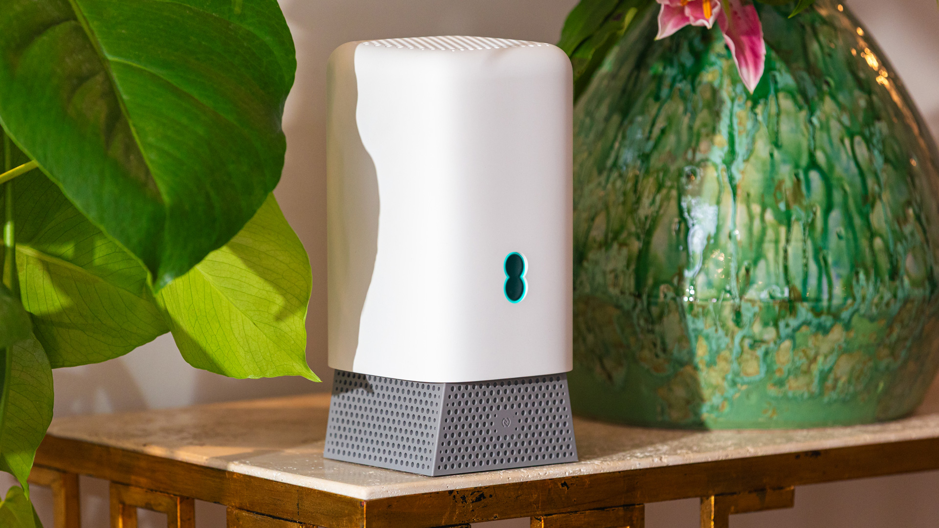 The EE speaker in someones home