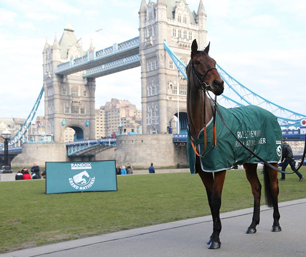 Past Grand National winners