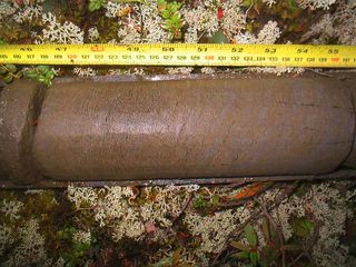 a core of permafrost from Alaska, research explores how the microbes in permafrost respond to thawing and climate change