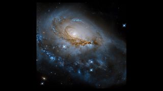 The spiral galaxy NGC 1961 captured by the Hubble Space Telescope.