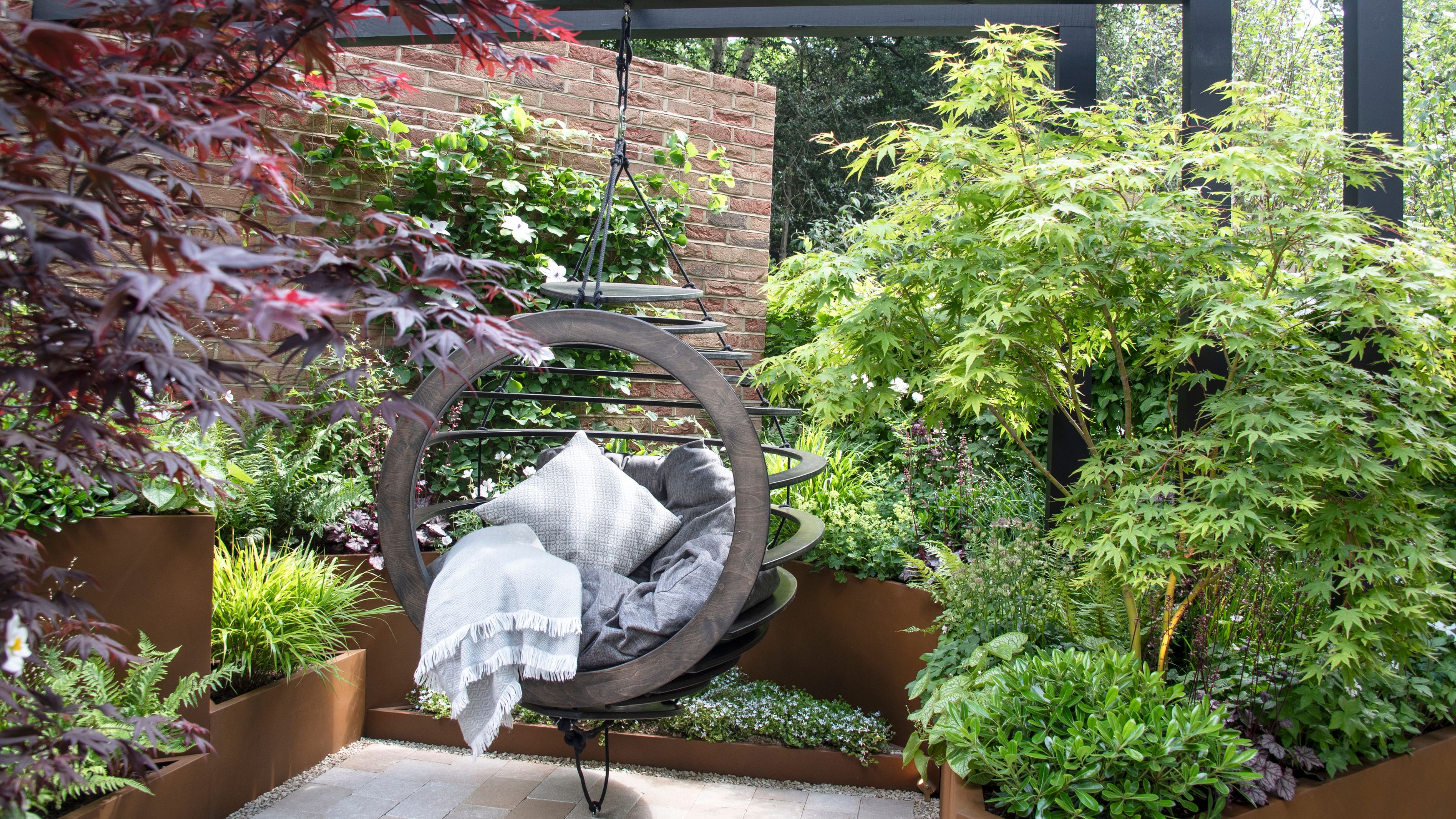 Acers and ferns in the Room to Breathe Hospital Garden for the TSA at RHS Chelsea Flower Show 2025