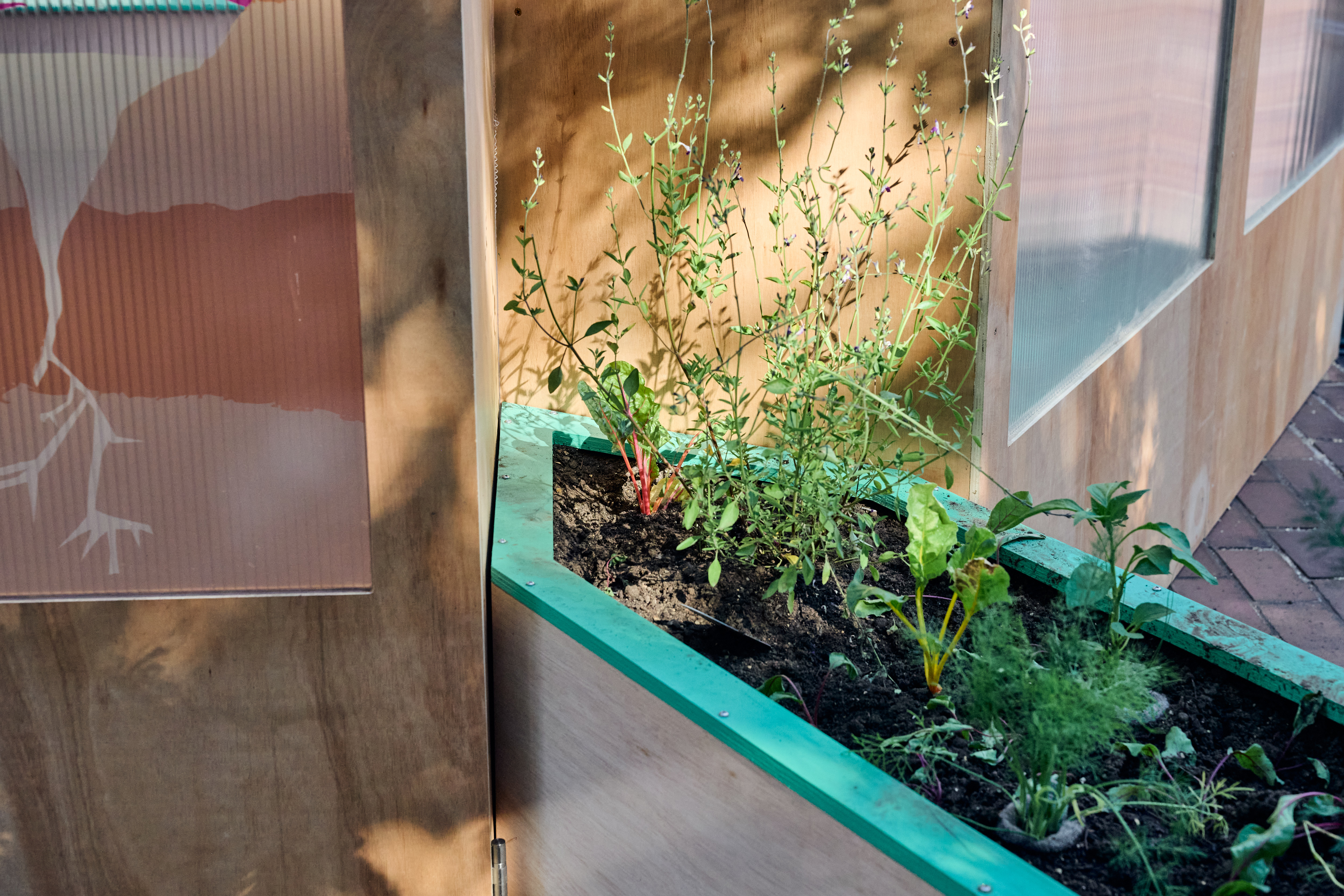 The Veggery, a greenhouse pavilion installed outside in a London plaza, made of wood and featuring a variety of plant pots on shelves