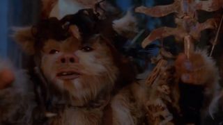 A close up of Logray the Ewok in Return of the Jedi