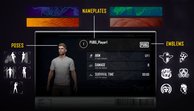 Первый взгляд на PUBG ID