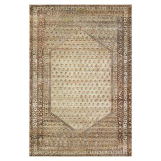 Zinnia Rug by Heidi Caillier x Joon Loloi