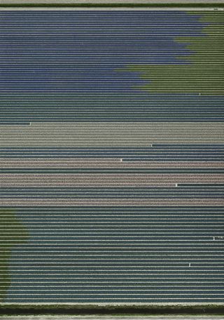 Art from Andreas Gursky
