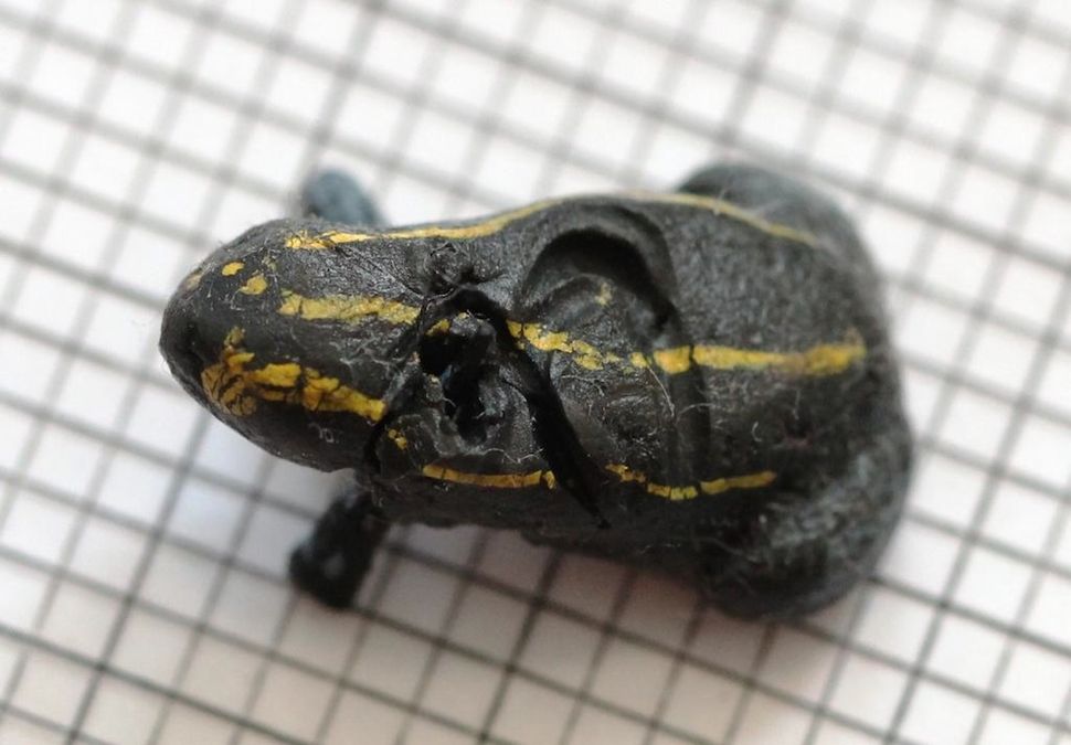 Frog FakeOut Gallery of Real & Decoy Amphibians Live Science