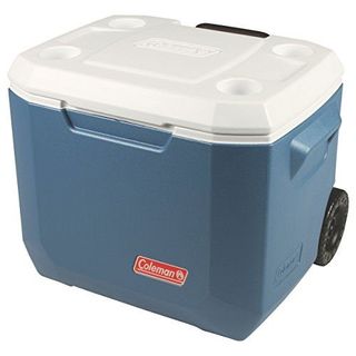 The 10 Best Coolers for the Summer