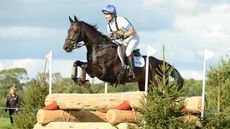 Francis Whittington&rsquo;s five-star horse Evento