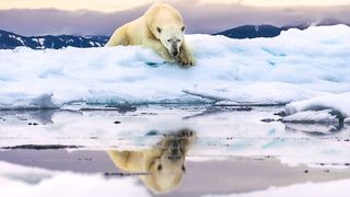 How to watch Frozen Planet II: Worlds of Wonder in 4K from anywhere – BBC David Attenborough Christmas special