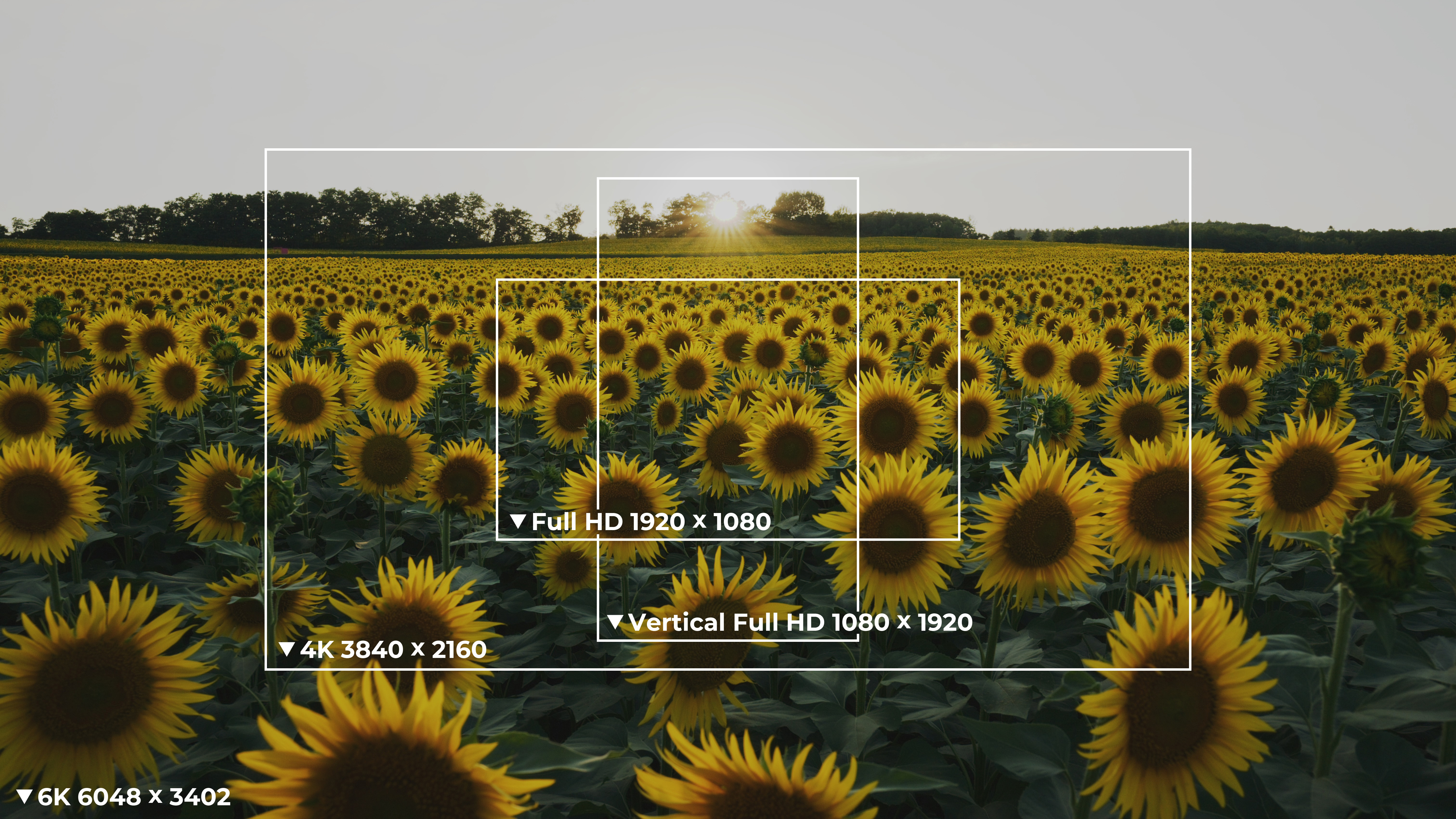 Illustration of Nikon ZR&#039;s various crop factors