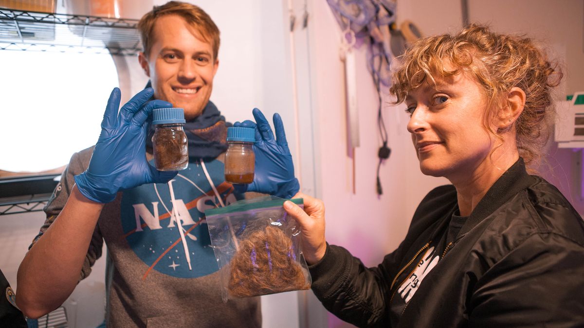 Officers Sean Gellenbeck and Dr. Brandy Nunez perform the Mission to Mars hair fertilizer experiment with hair donated by present and past crewmembers at HI-SEAS.