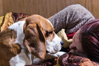 A dog comforting his owner.