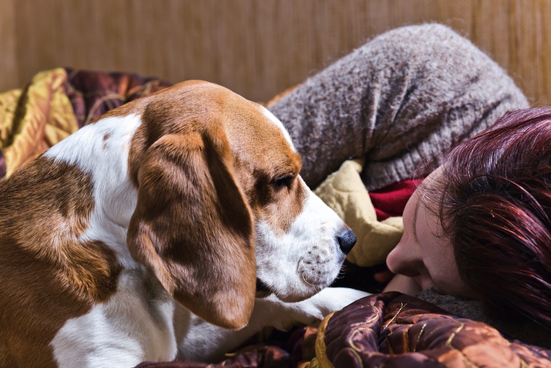 dog depressed after new baby