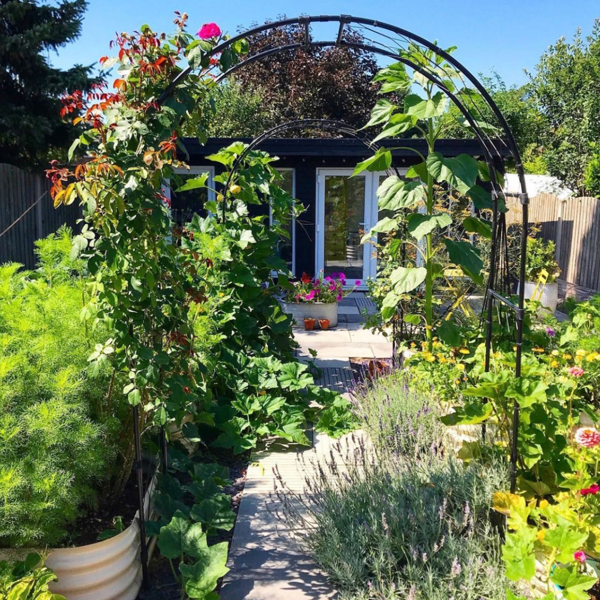 Garden with metal arch in climbing plants surrounded by lush flower beds in front of summerhouse
