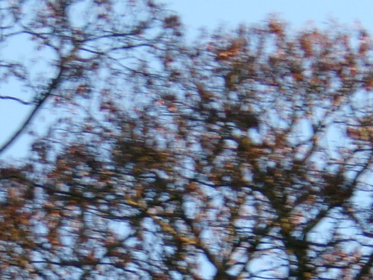 A photo taken on a Kodak PIXPRO FZ45 compact camera