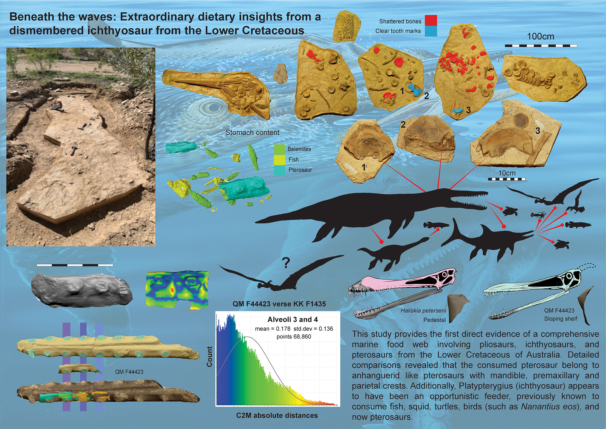 A scientific poster showing fossils, illustrations, graphs and some text