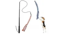 ASOCEA Flirt Pole for dogs | Amazon ASOCEA Flirt Pole for dogs | Amazon