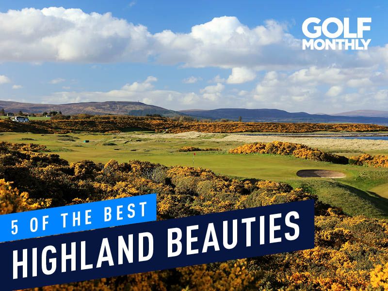 5 of The Best Highland Beauties