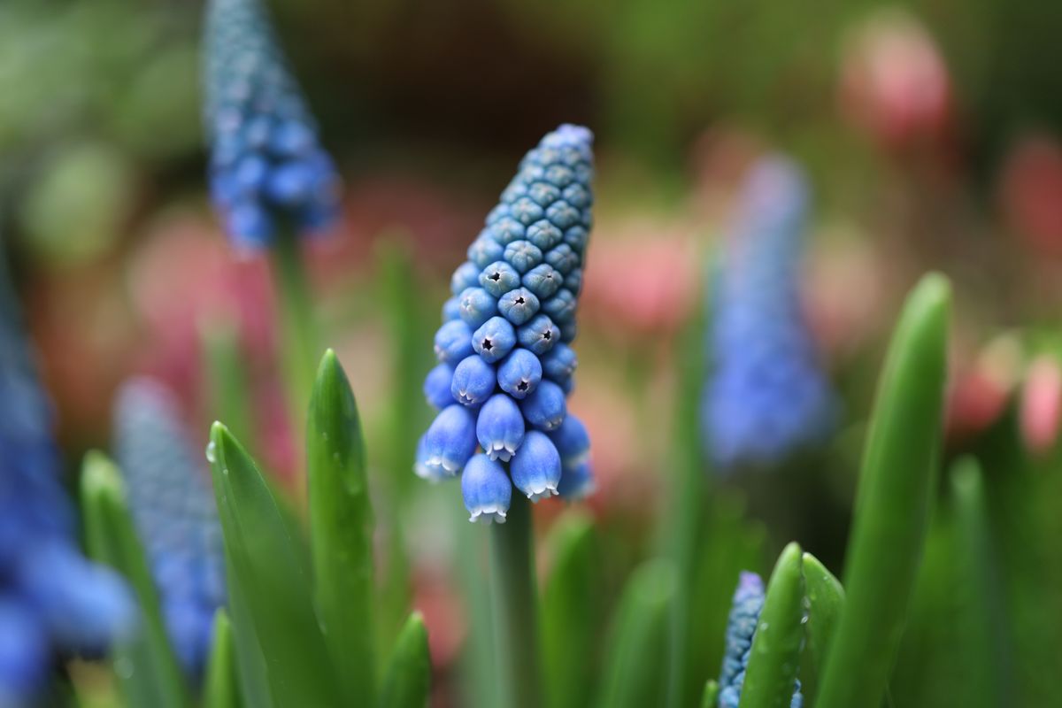 Canon EOS RP sample image gallery