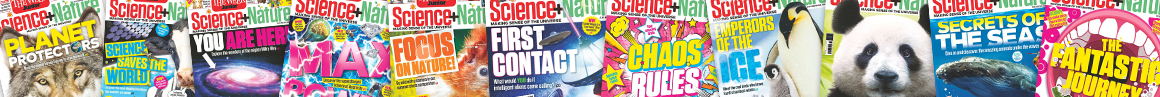 covers
